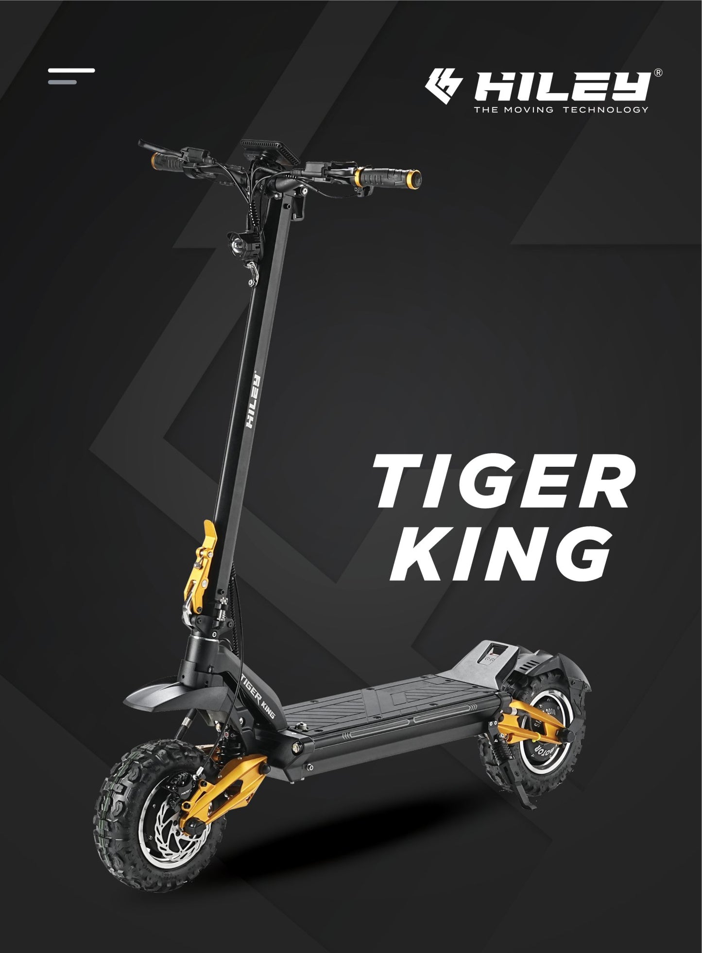 HILEY TIGER KING - BUZZ MOTORS